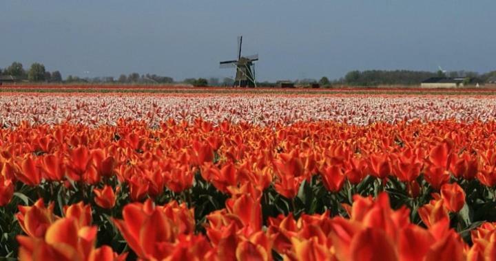 Отель Vakantieverblijf Aan De Dijk Хипполитюсхуф Экстерьер фото